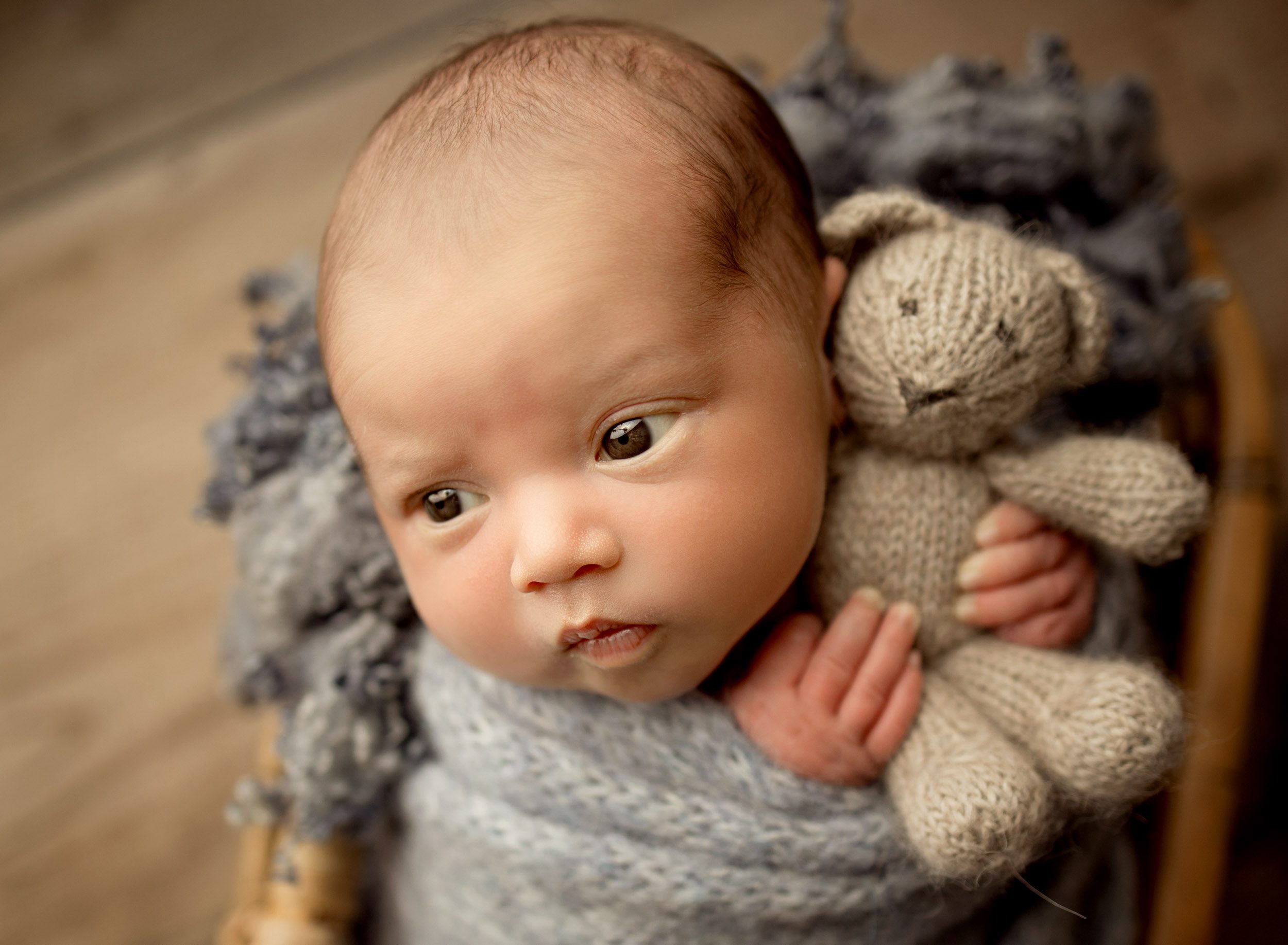 newborn baby boy swaddled in gray blue wrap holding teddy bear awake and looking off towards mom