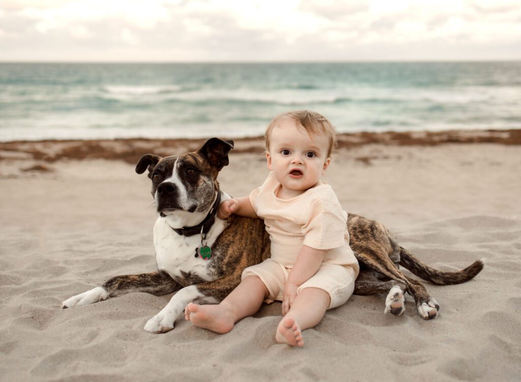 Baby and his dog at the beach posing for a photo. Family photo ideas