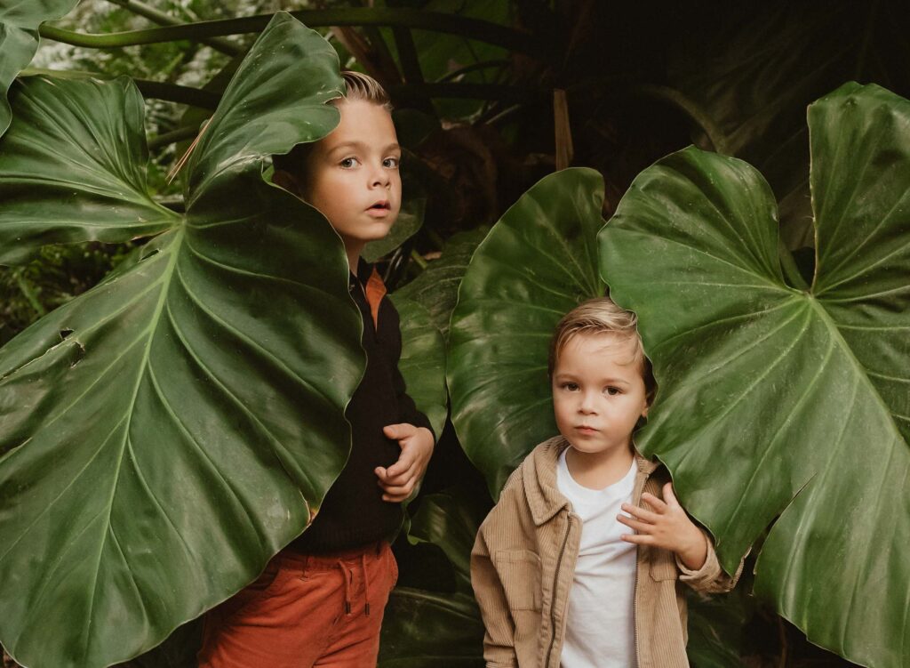 2 little boys peeking out from behind very large tropical leaves for family photos in Boca Raton